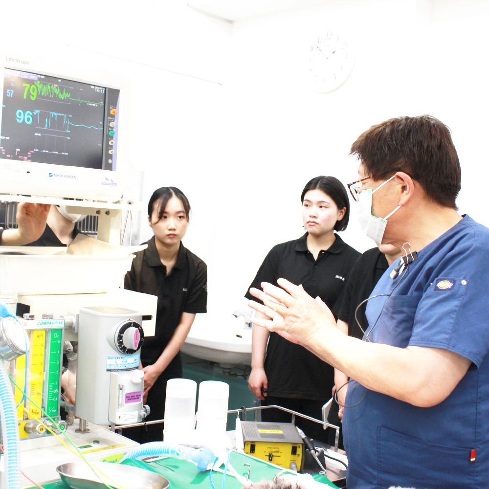 歯石除去の処置を勉強！